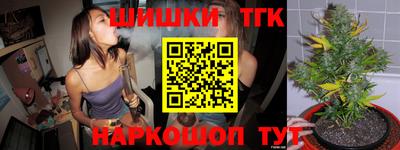 индика Кимры