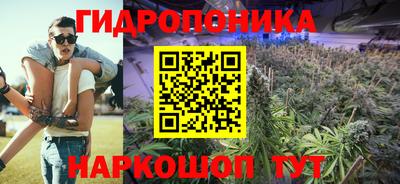 2c-b Канаш