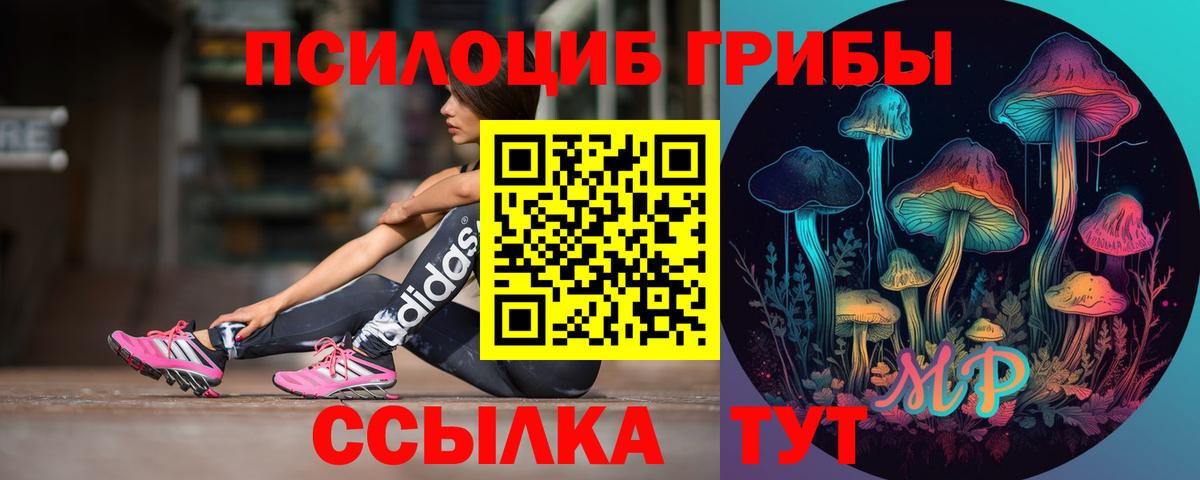 Галлюциногенные грибы Psilocybine cubensis  Вход с VPN  Кохма 